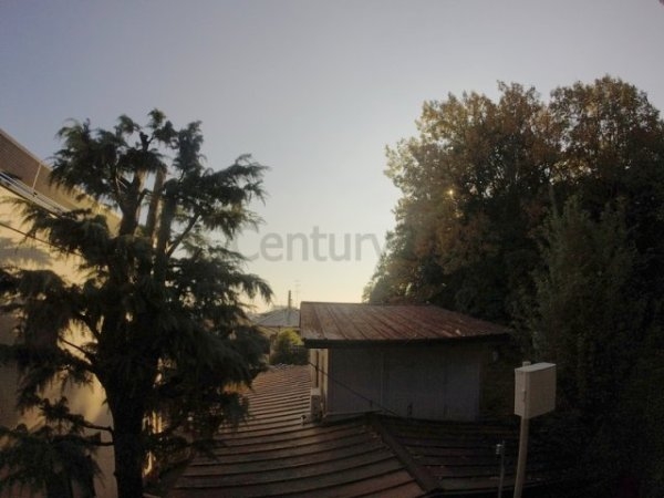 センチュリーショウエイ2