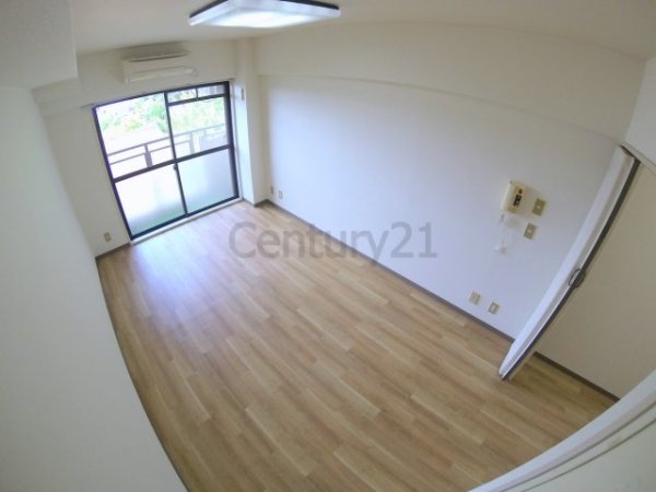 センチュリーショウエイ2