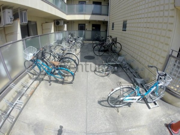 センチュリーショウエイ6