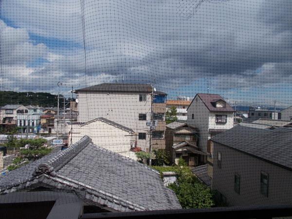 モアライフ酒井松