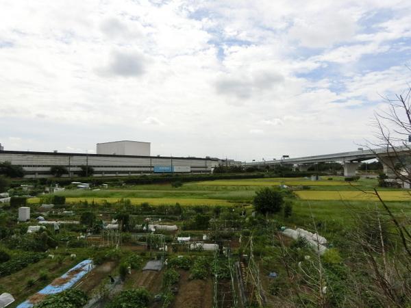 中野ハイツ