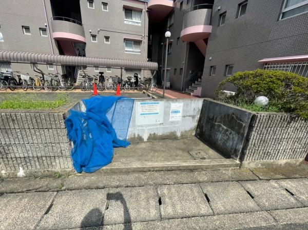 アルカサール幸