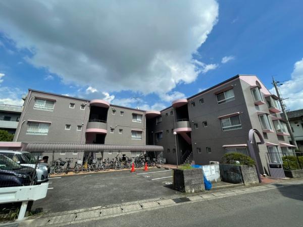 アルカサール幸