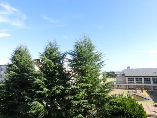 竹の台団地F3棟401号