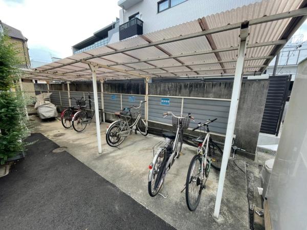 タウニィー樋口