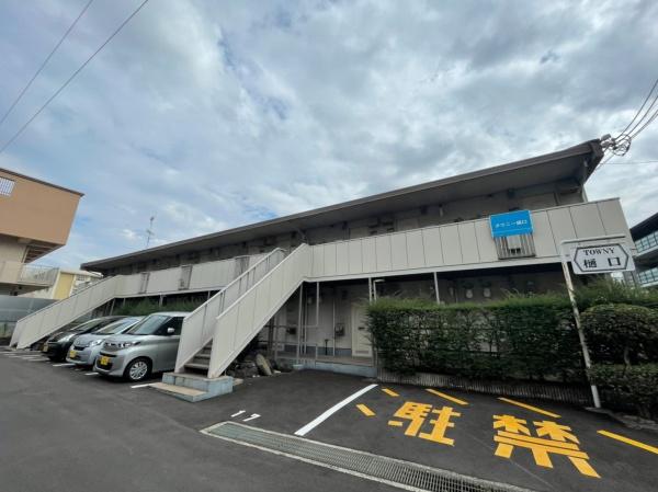 タウニィー樋口