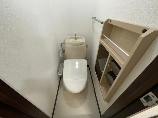タウニィー樋口