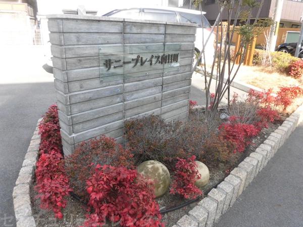 サニープレイス向日町