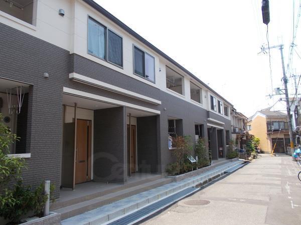 シェブロン