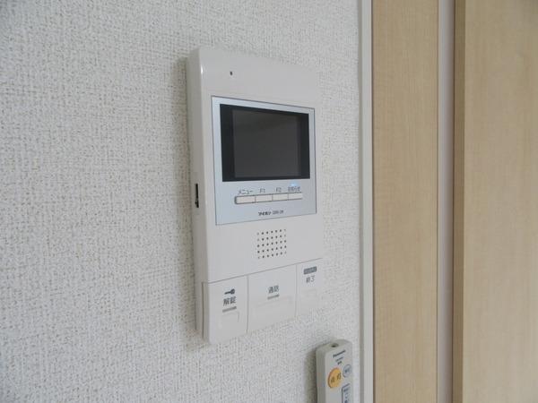 オーキッド