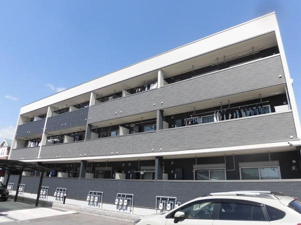 オーキッド