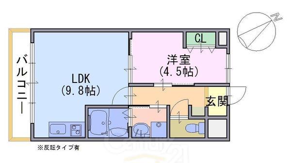 ピーターラビット淀