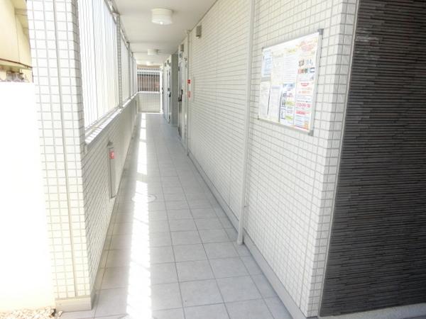 サンフラワー