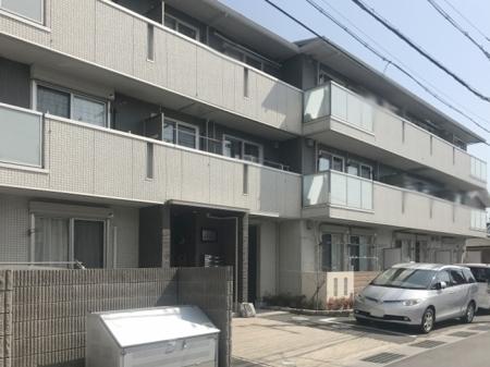 サンフラワー