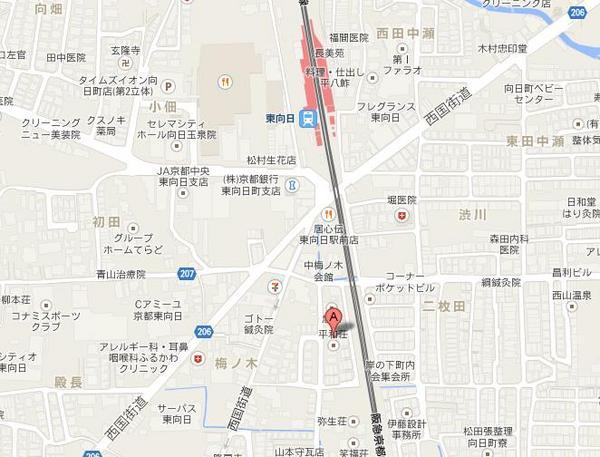 サンフラワー