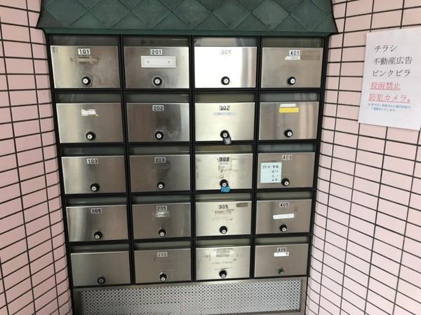 シェモア１９