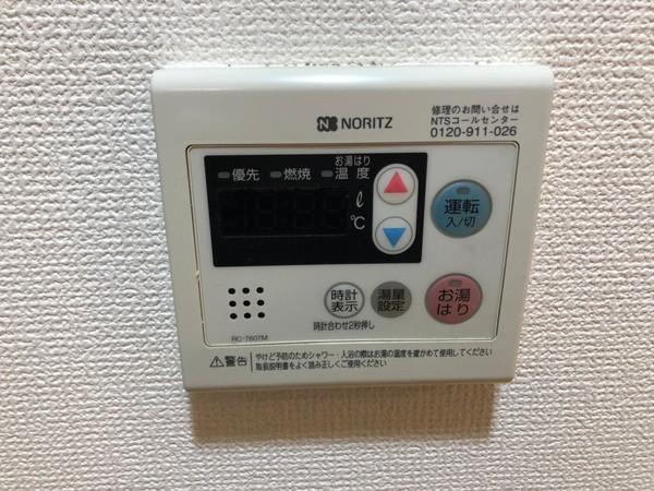 シェモア１９