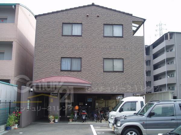 ラベンダー