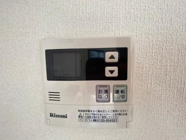 ラベンダー
