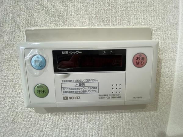 ラベンダー