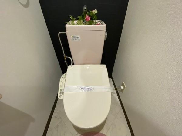ラベンダー