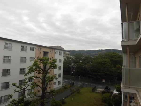竹の台団地Ｃ3棟403号