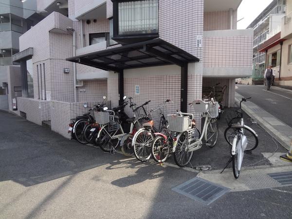 シェモア１９