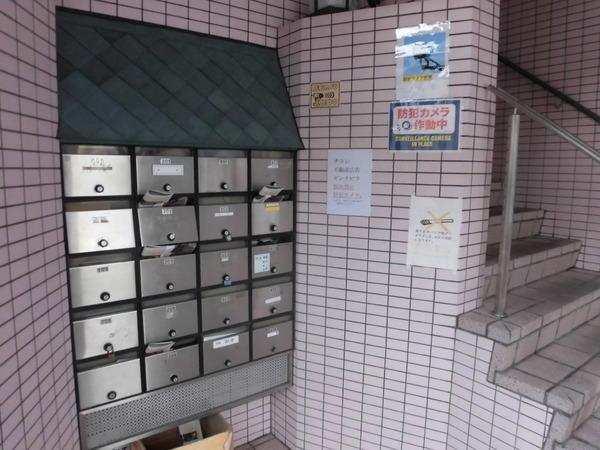 シェモア１９