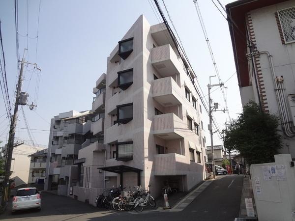 シェモア１９