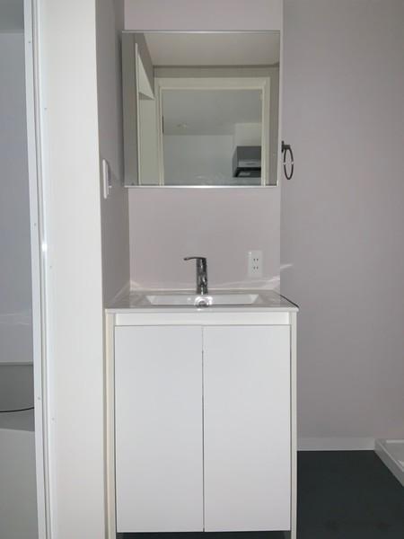 ルミエール淀(洗面台・洗面所)