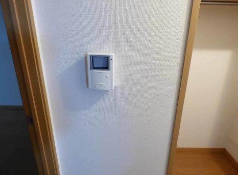 コスモス