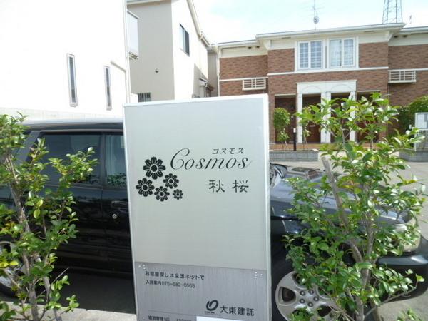 コスモス