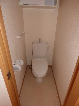 コスモス