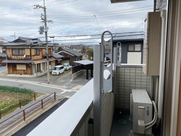 カメリア