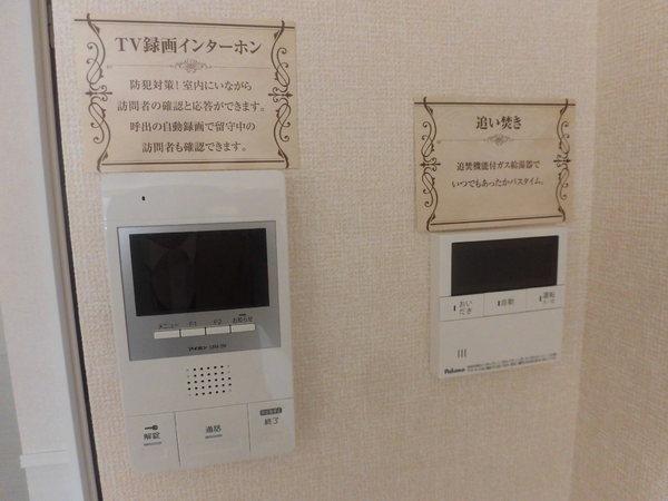 すみれそう