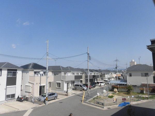 すみれそう