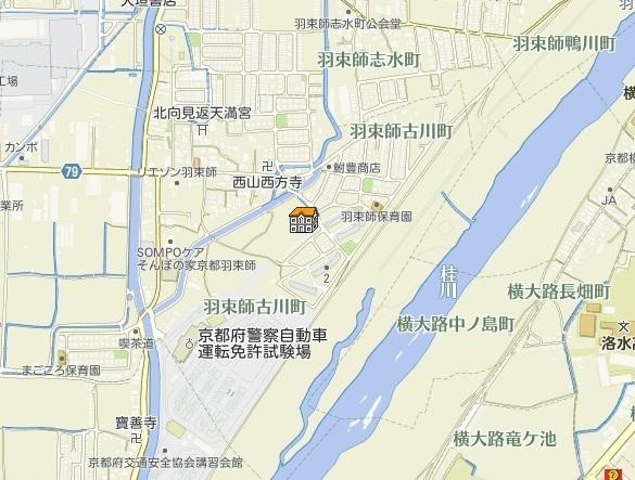 すみれそう(その他)