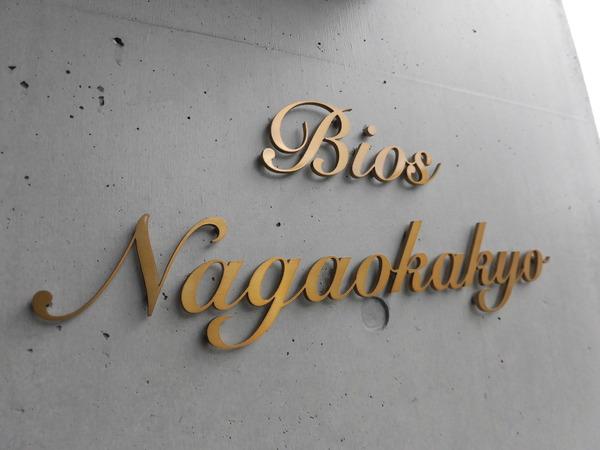BIOS長岡京