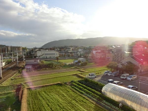 和泉殿ハイツ