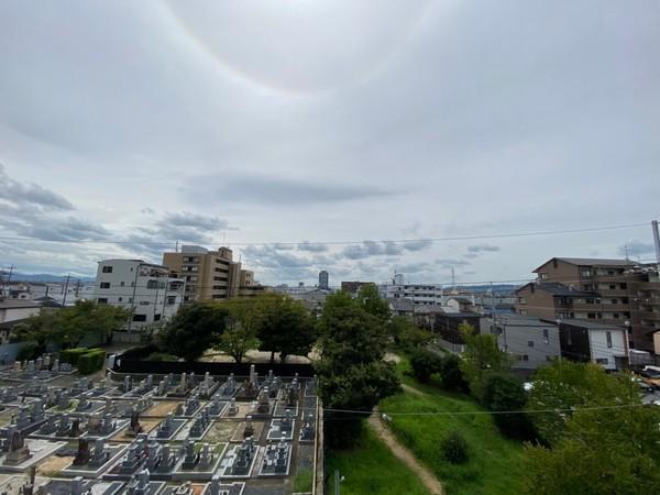 シティハウスホワイティ
