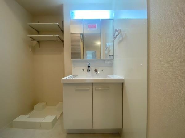 ベルテンポ東向日(洗面台・洗面所)