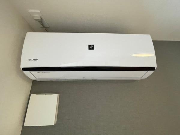 ディモーラ山崎