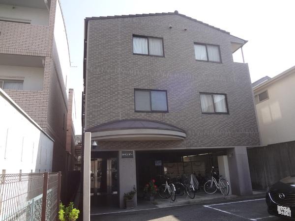 ラベンダー