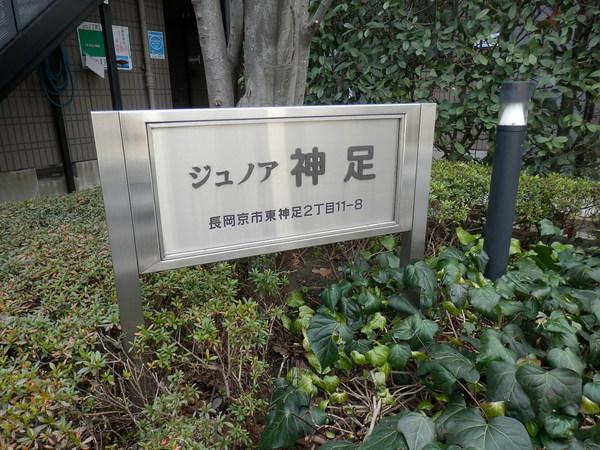 ジュノア神足