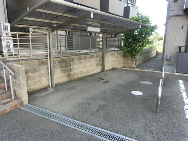 多蔵court2