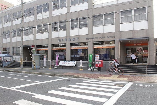 チャトラ(向日町郵便局)