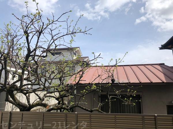 アレーズ向日町