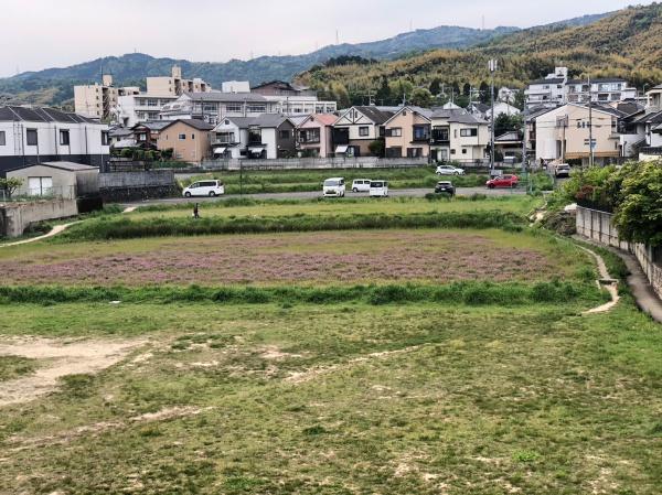 アーバンライフ大塚