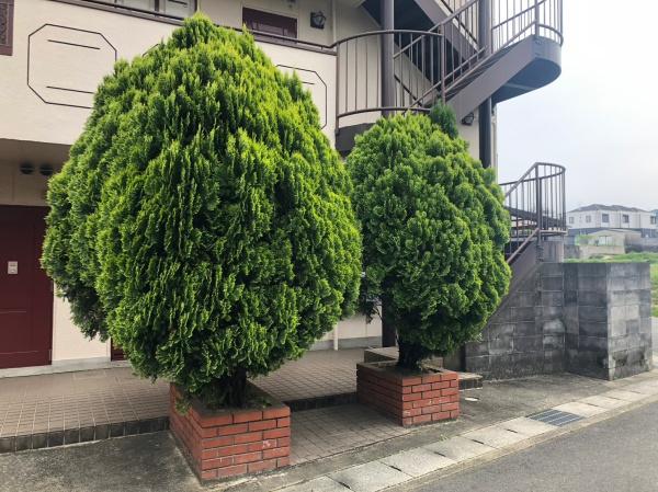 アーバンライフ大塚