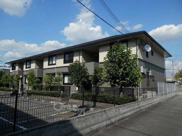 ジュネス・ハイカムール